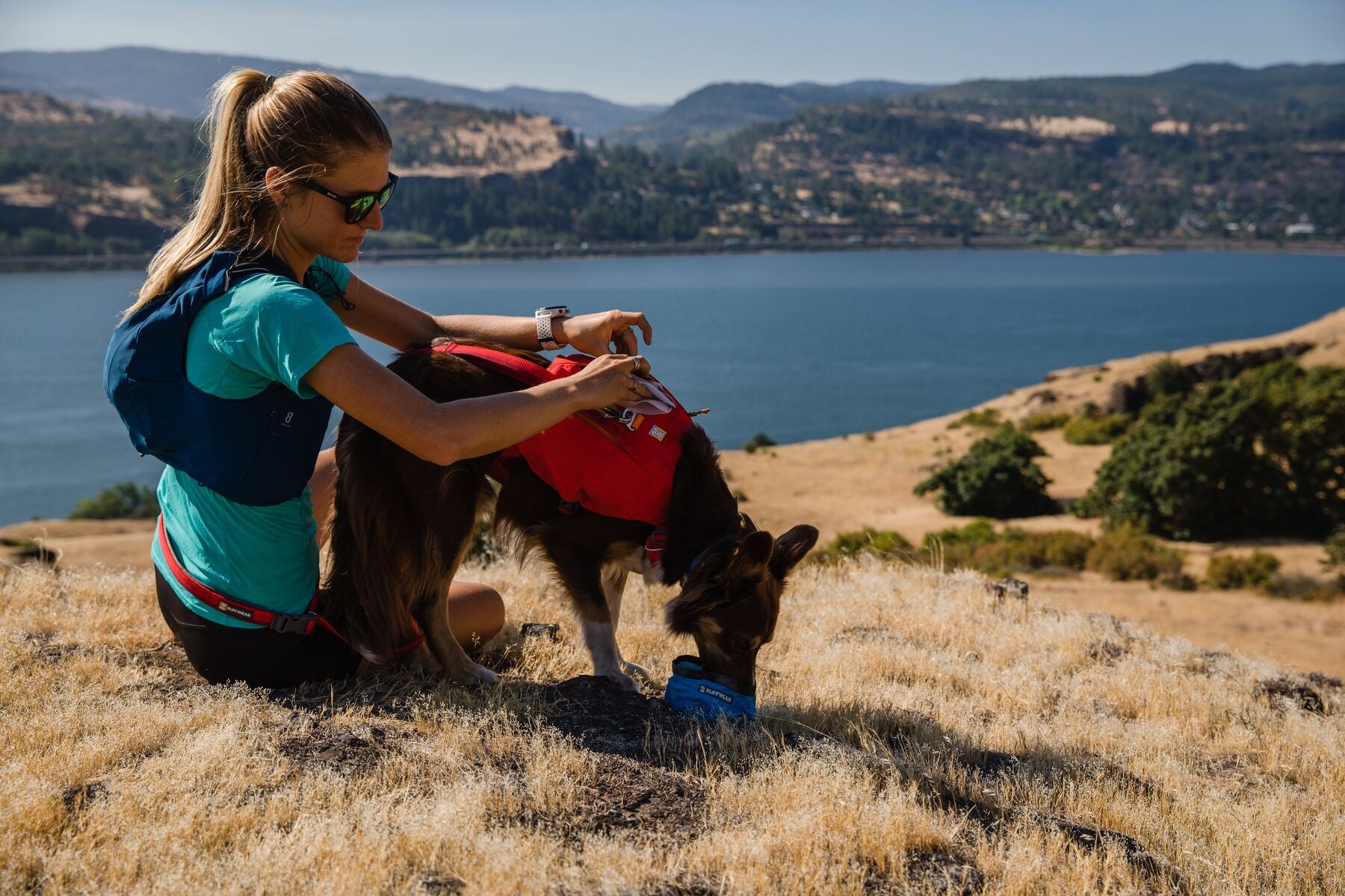 Ruffwear Switchbak Adventure Dog Harness - Adjustable No-Pull Pet Harness for Hiking, Running & Outdoor Activities | Durable Reflective Gear for Medium & Large Dogs