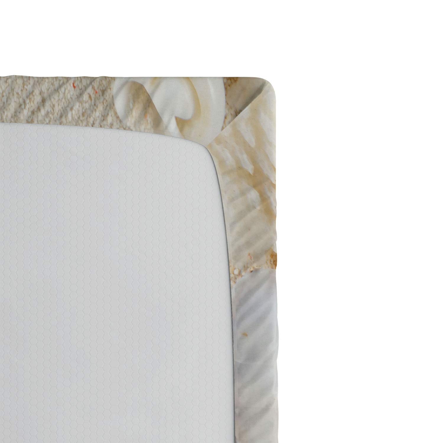 Ambesonne Seashells Fitted Sheet - Queen Size Beige Ivory Cream Bed Cover with Deep Pocket Elastic | Coastal Beach Theme Bedding Set | Perfect for Guest Rooms, Vacation Homes & Nautical Decor