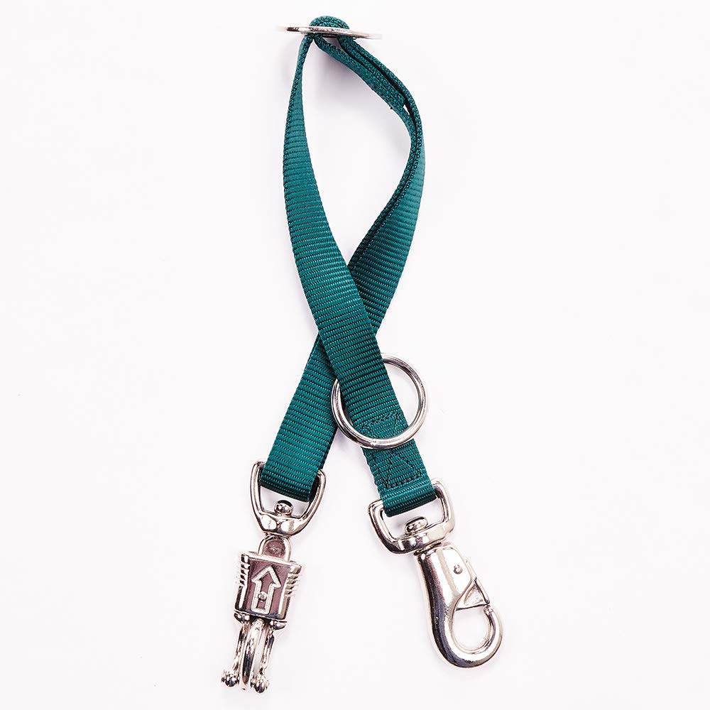 Heavy Duty Trailer Tie Down Straps with Iron Bull Snap - Secure Cargo for Trucks, Trailers & Boats - Durable Towing & Transport Accessories
