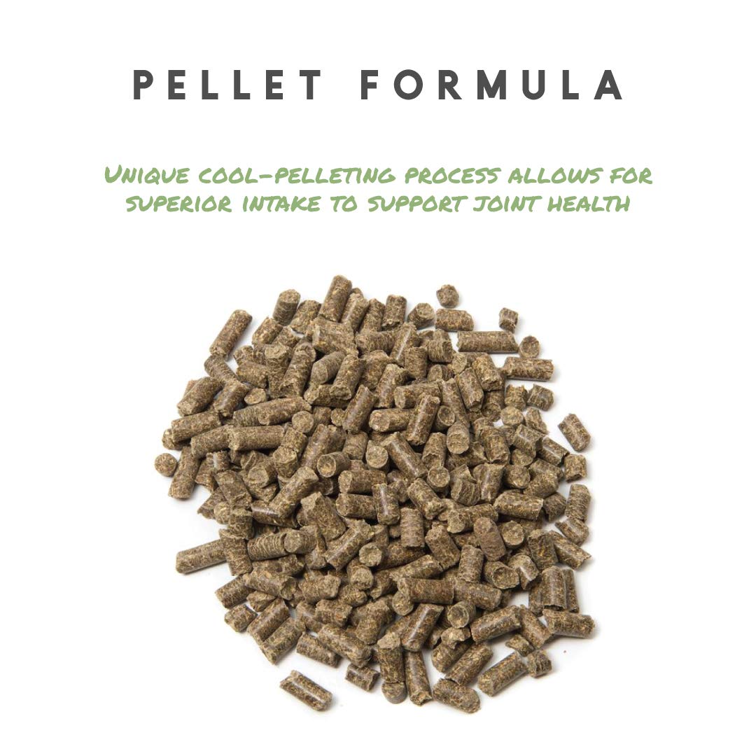 Manna Pro Cetyl-M Joint Supplement for Horses - Omega 5 Fatty Acids Formula - 11.2 LB Pellets for Joint Health & Mobility - Ideal for Senior Horses & Performance Equines