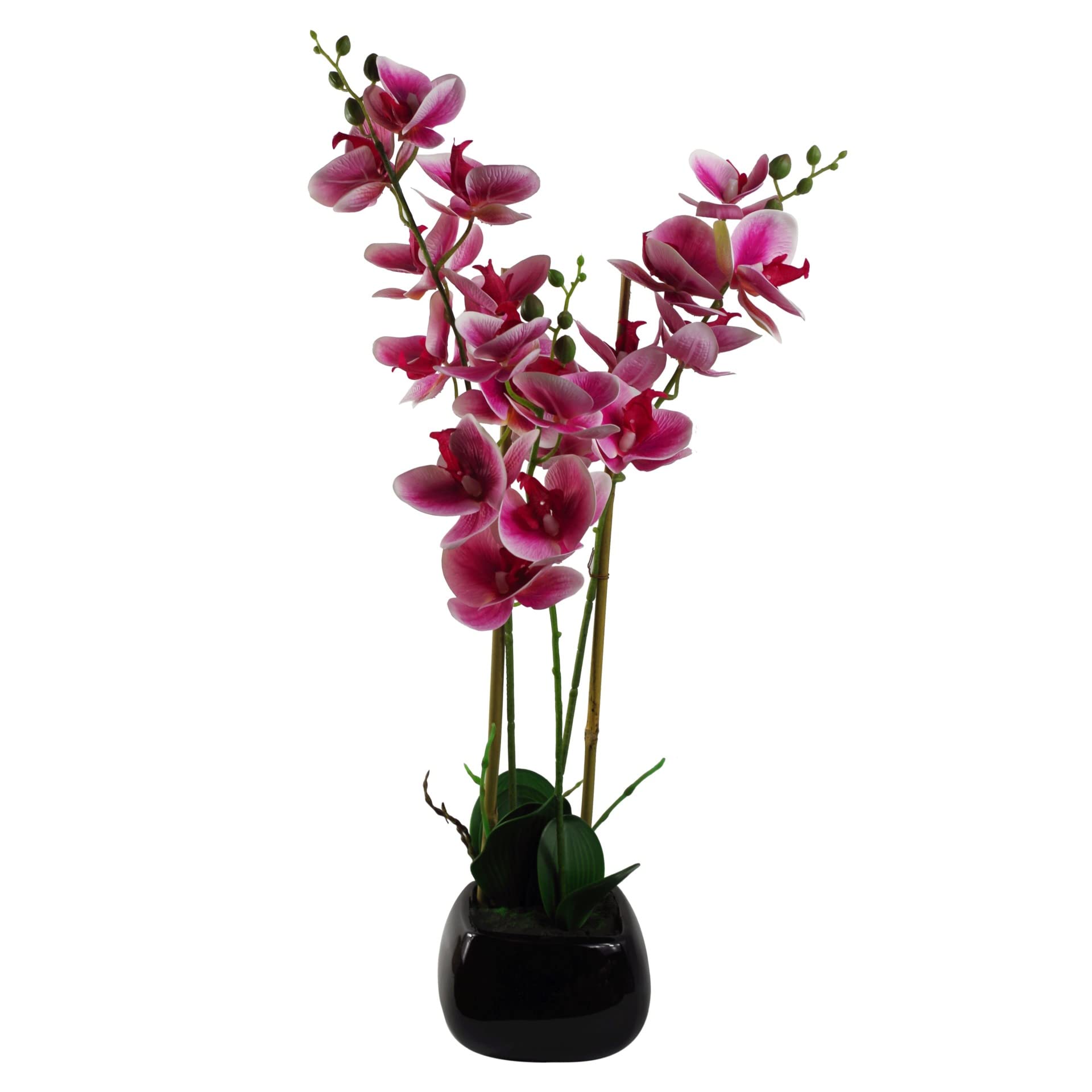Leaf Design UK Artificial Orchid - Realistic Silk Fake Flowers for Home Decor, Wedding Centerpieces & Office Decoration