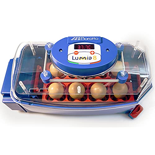 Premier 1 Supplies Borotto Lumia 8 Automatic Egg Incubator with Humidity Pump - Perfect for Poultry Farming, Hatching Chicken Duck Quail Eggs at Home or Farm