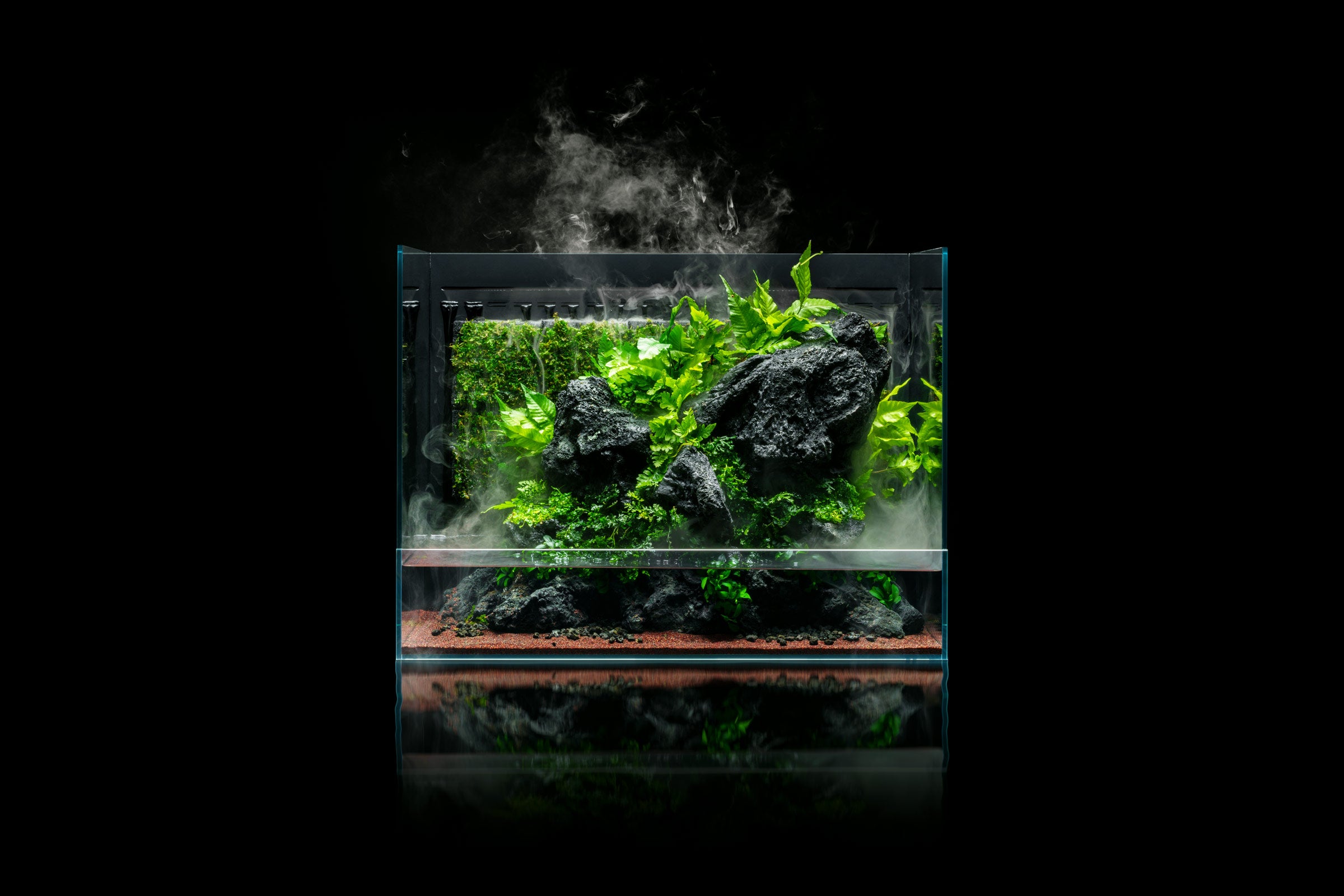 UNS Foresta 60E Integrated Paludarium - Premium Aquarium & Terrarium Combo for Reptiles, Plants & Fish - Perfect for Home, Office & Classroom Nature Displays