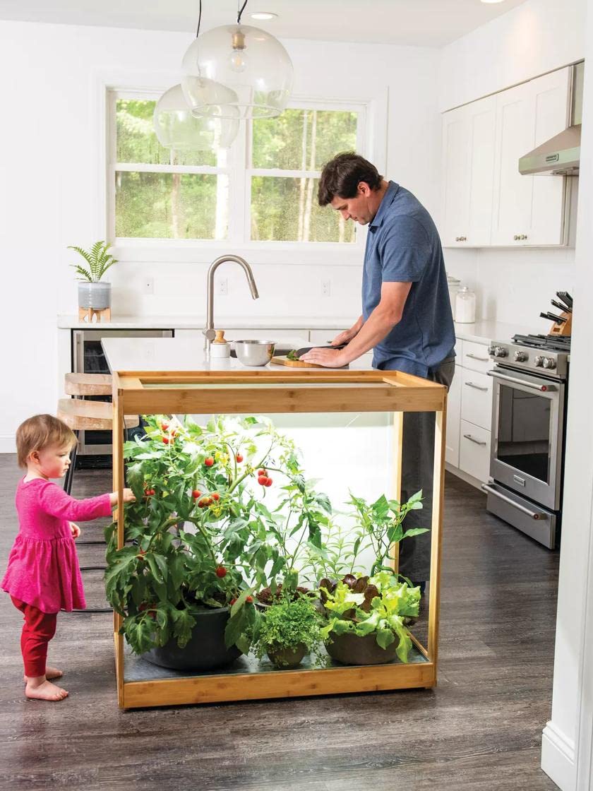 Medium Bamboo LED Grow Light Stand for Indoor Plants - Energy Efficient Grow Light for Herbs, Succulents & Seedlings | Perfect for Home Gardening, Hydroponics & Indoor Greenhouses
