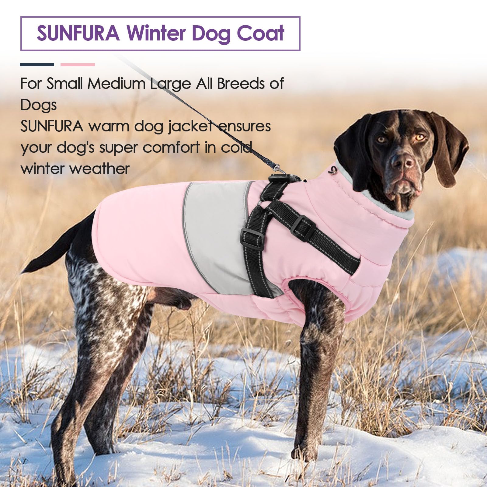 Waterproof Reflective Dog Winter Coat with Fleece Lining & Harness - Warm Snow Jacket for Medium Dogs (Pug, Jack Russel, Boston Terrier) - Perfect for Cold Weather Walks, Outdoor Adventures & Winter Protection - Pink