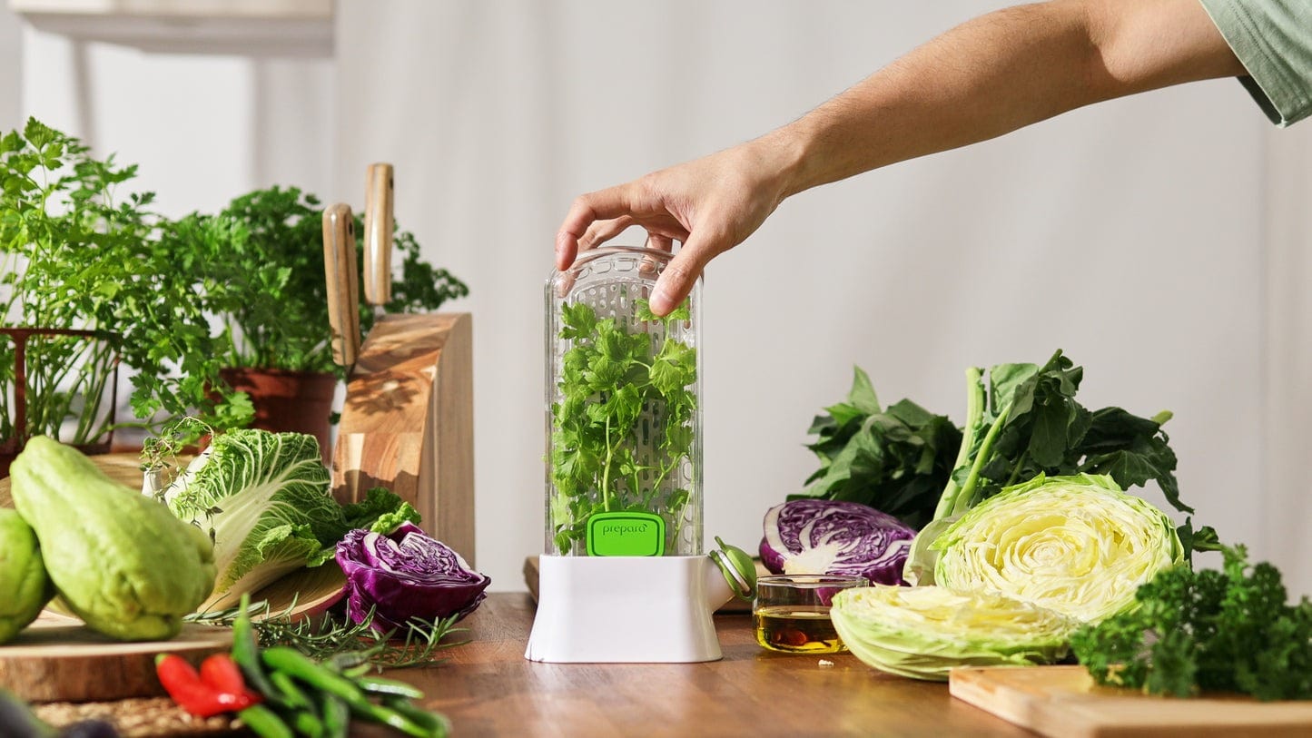 Prepara Herb Saver Deluxe - Premium Fresh Herb Storage Container for Kitchen | Keep Herbs Fresh Longer | Perfect for Refrigerator, Countertop & Meal Prep