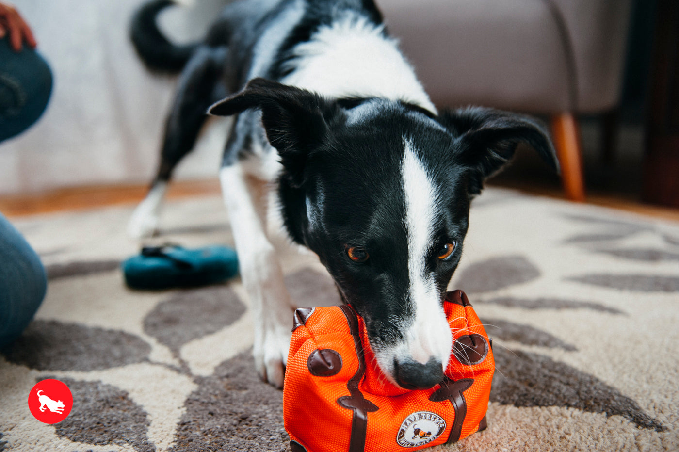 Globetrotter Plush Dog Toy - La Maleta Travel-Themed Chew Toy for Dogs | Pet P.L.A.Y. | Perfect for Travel, Playtime & Cuddling