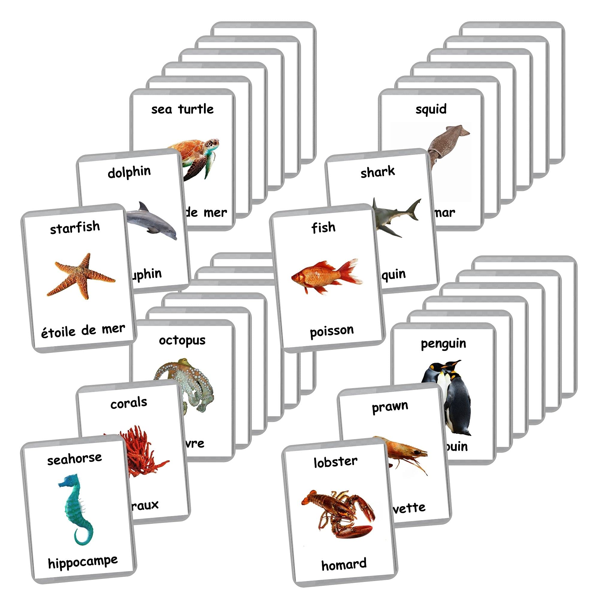 26 Laminated Sea Animals Flash Cards - Ocean & Water Animal Educational Learning Cards for Homeschool, Preschool & Bilingual Teaching (English/French) - Perfect for Classroom Activities & Language Development