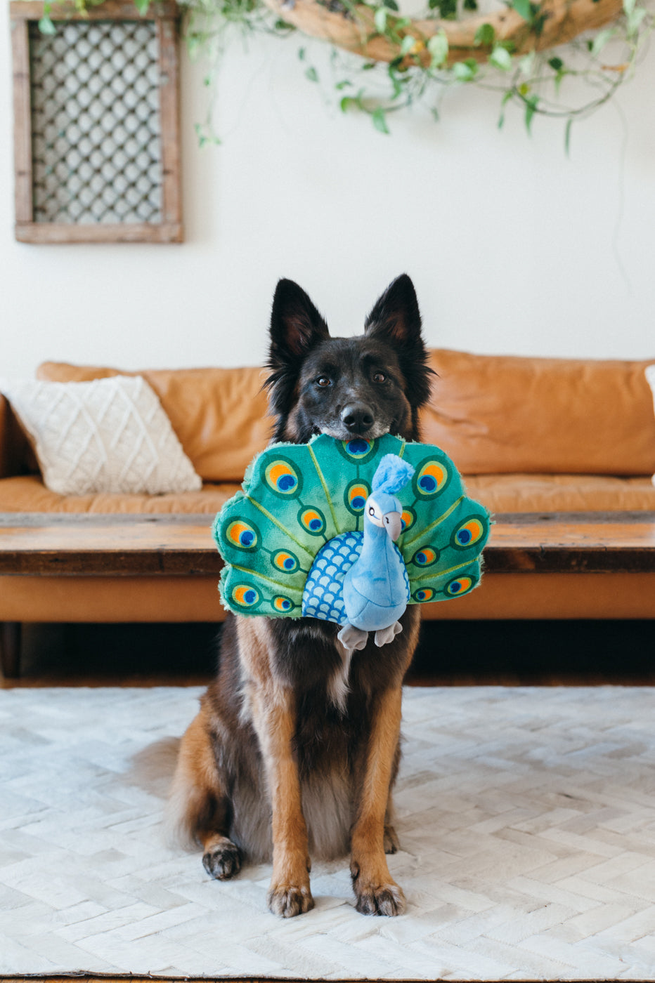 Percy the Peacock Plush Dog Toy - Fetching Flock™ Interactive Chew Toy for Dogs | Soft & Durable Pet P.L.A.Y. Toy for Fetch, Tug-of-War & Cuddling | Perfect for Playtime, Training & Comfort