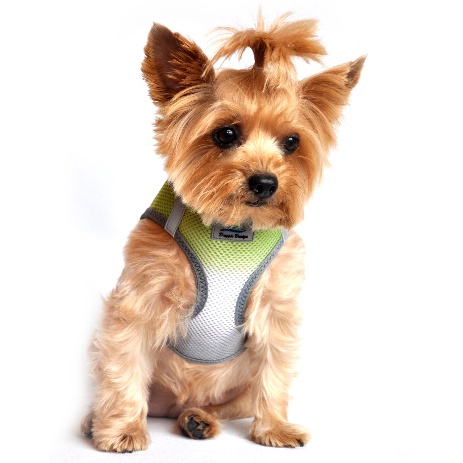 American River Dog Harness Ombre Collection - Limestone Gray XXS | No-Pull Pet Vest for Small Dogs | Perfect for Hiking, Walking & Outdoor Adventures