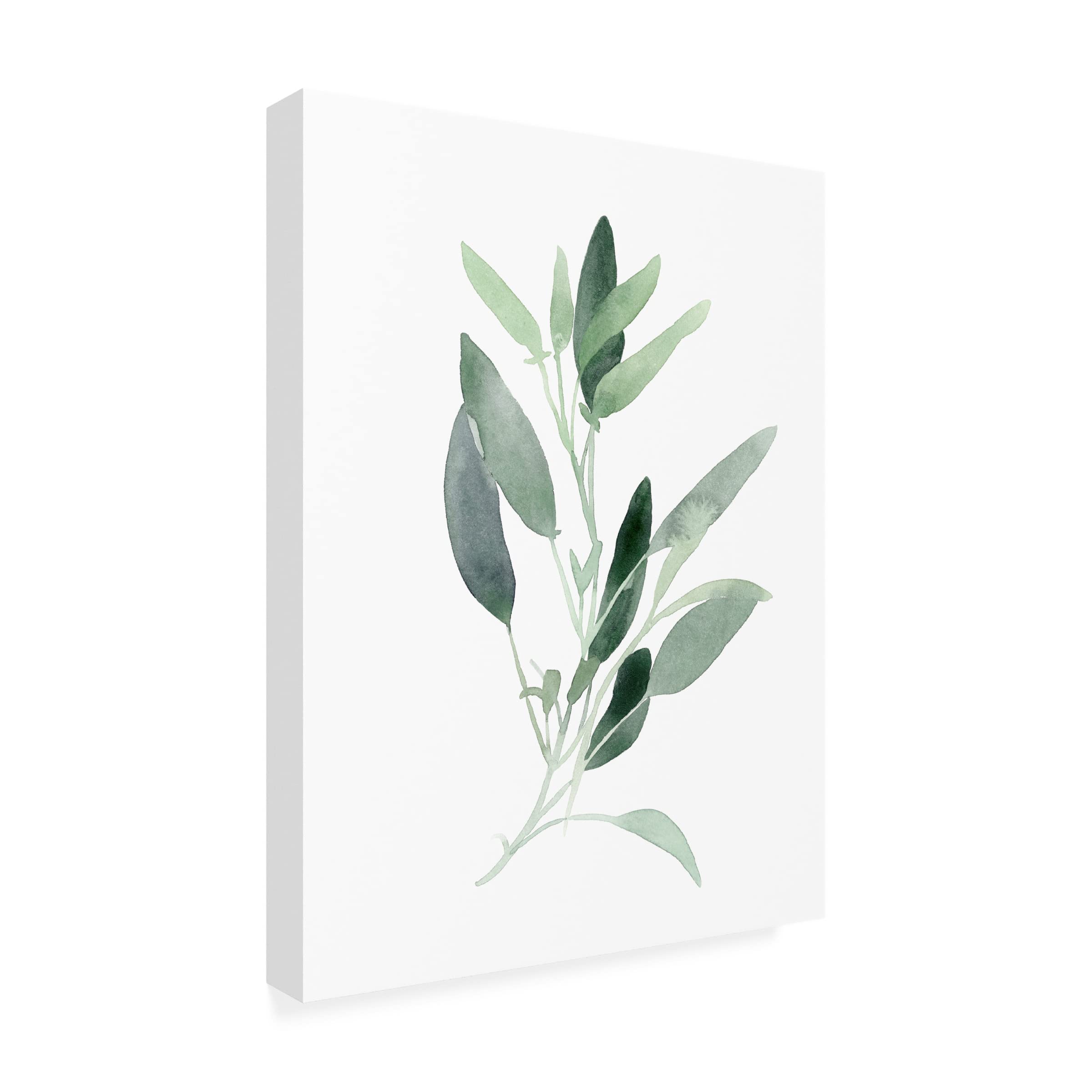 Emma Scarvey 'Simple Sage III' Canvas Wall Art Print - Modern Botanical Decor for Living Room, Bedroom & Office