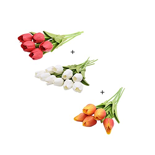 White + Orange + Red
