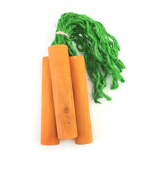 Organic Moss Hollow Carrot Sticks for Dogs - Natural Chew Treats for Puppies & Adult Dogs - Long-Lasting Dental Chews for Teeth Cleaning - Perfect for Training Rewards and Anxiety Relief