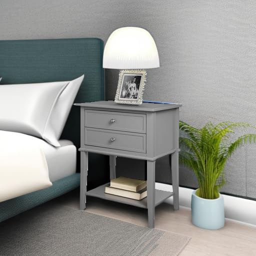 Ameriwood Home Franklin Accent Table with 2 Drawers, Gray - Stylish End Table or Nightstand for Living Room, Bedroom, Office - Perfect for Storing Books, Lamps & Decor