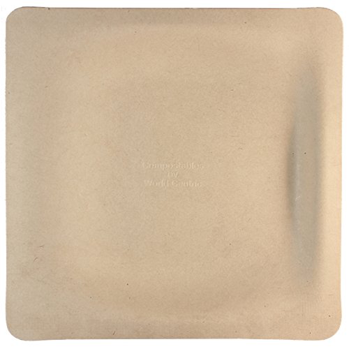 World Centric Compostable 10 Inch Square Plates - 200 Pack | Eco-Friendly Plant Fiber Disposable Plates for Parties, Picnics & Events