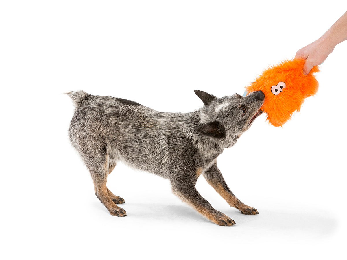 West Paw Design Fergus Dog Toy - Durable Chew Toy for Aggressive Chewers, Interactive Fetch & Tug-of-War Play - Perfect for Large & Medium Dogs - Indoor & Outdoor Use