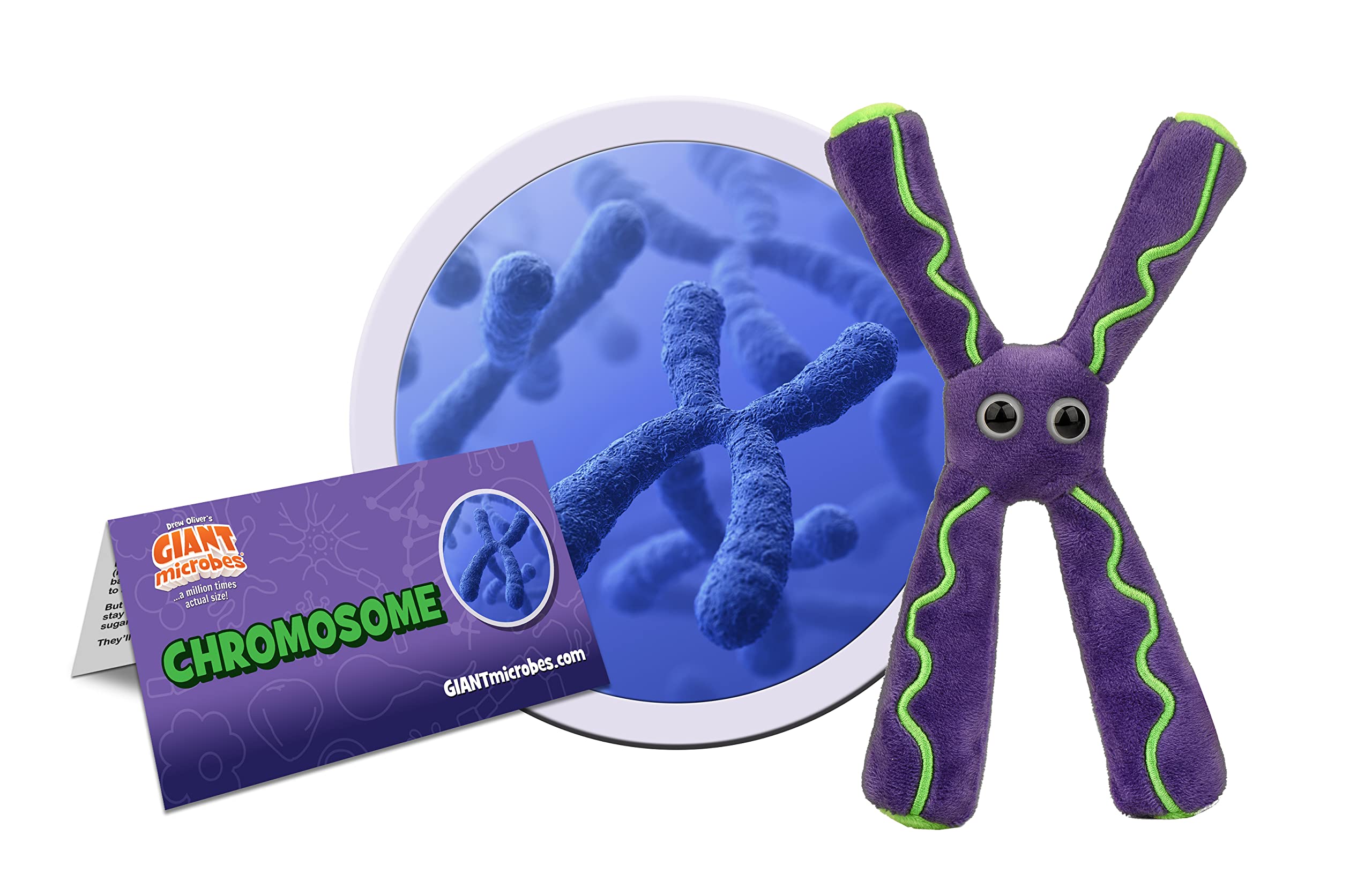GIANTmicrobes Chromosome Plush Toy - Unique Genetics & DNA Science Gift for Genetic Counselors, Genealogy Enthusiasts, Science Teachers | Fun Educational Gift for Classrooms, Labs & STEM Events