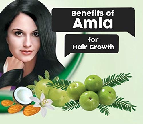 KHADI RISHIKESH Ayurvedic Amla Hair Oil for Hair Growth & Fall Control - 210ml | Promotes Long Strong Hair for Women & Men | Free Keychain Included | Perfect for Daily Hair Care & Scalp Massage