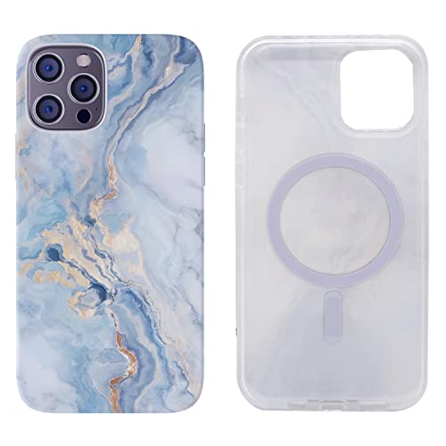 Blue Gold Marble