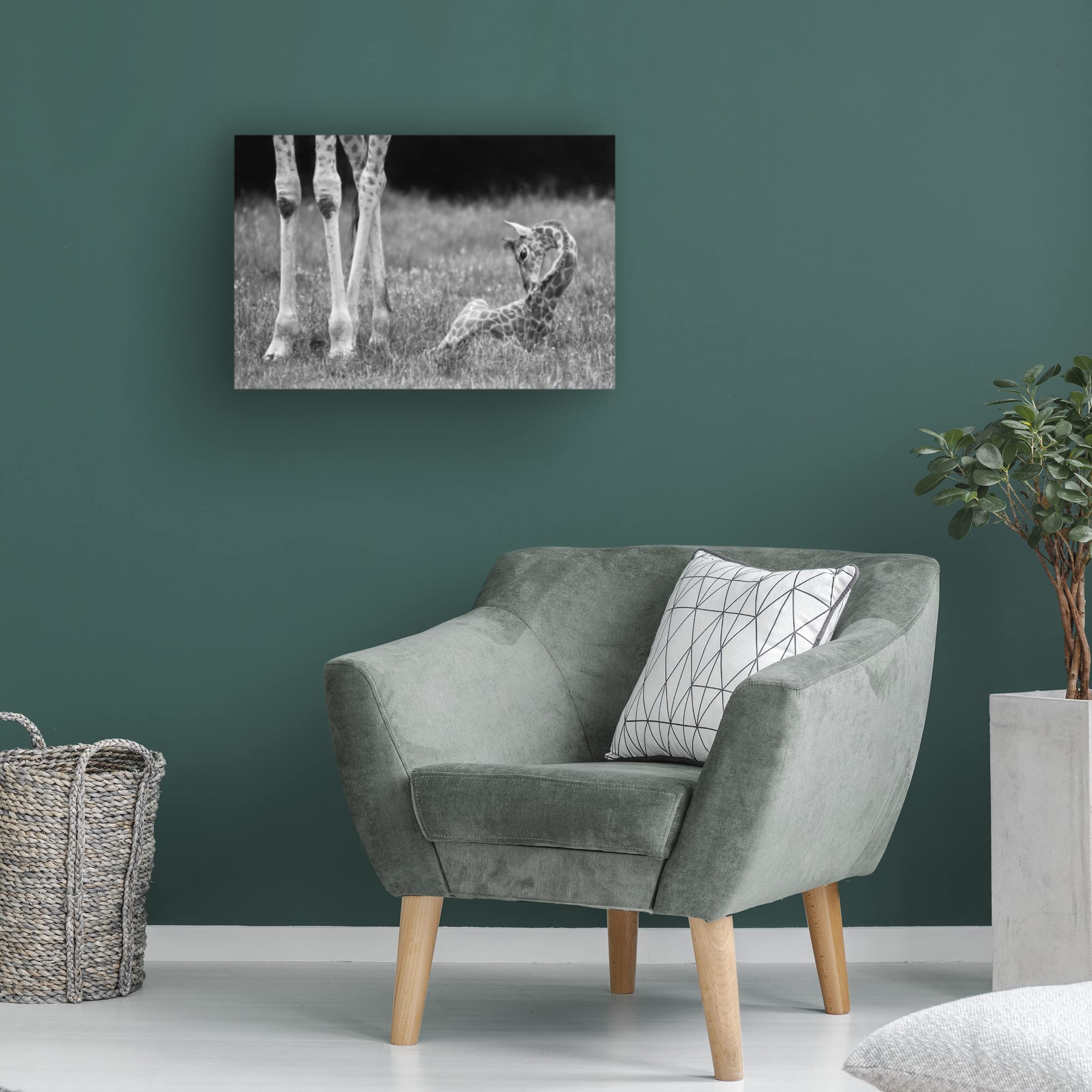 Trademark Fine Art 'Well Protected I' Canvas Wall Art by Andreas Feldtkeller - Modern Home Decor for Living Room, Bedroom & Office