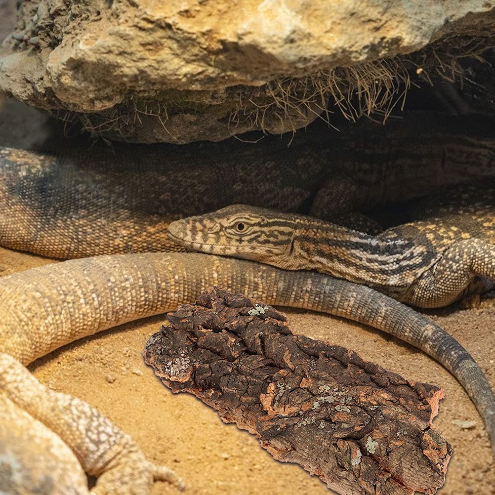 4 Pcs Reptile Bark - Natural Terrarium Decor for Lizards, Snakes & Geckos - Rainforest Climbing Platform & Tank Landscaping Material - Perfect for Pet Cages, Habitats & Vivarium Setups
