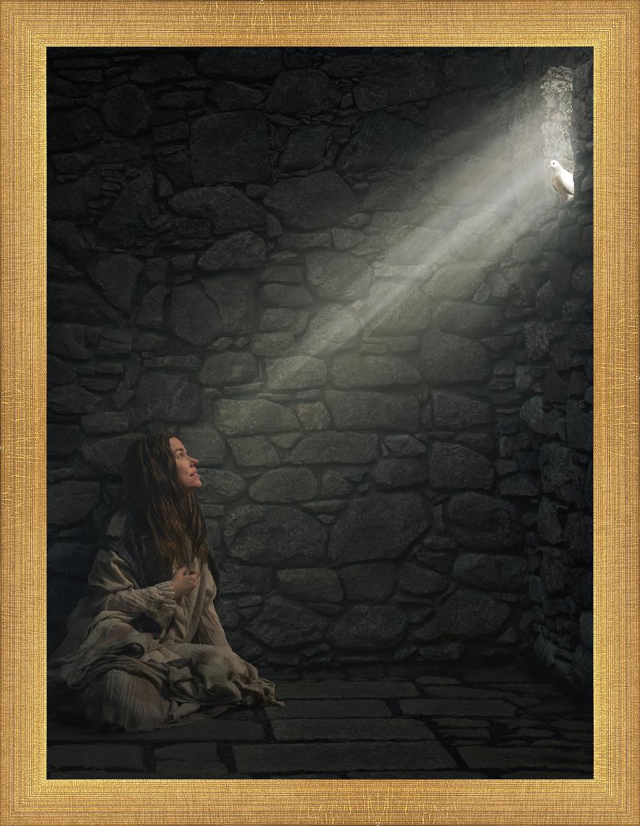A Captive's Hope - Inspirational Novel for Overcoming Adversity | Perfect for Book Clubs, Personal Growth & Motivational Reading