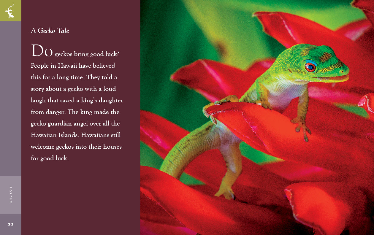 Geckos: Fascinating Reptiles - 9781640265431 | Perfect for Reptile Lovers & Educational Use