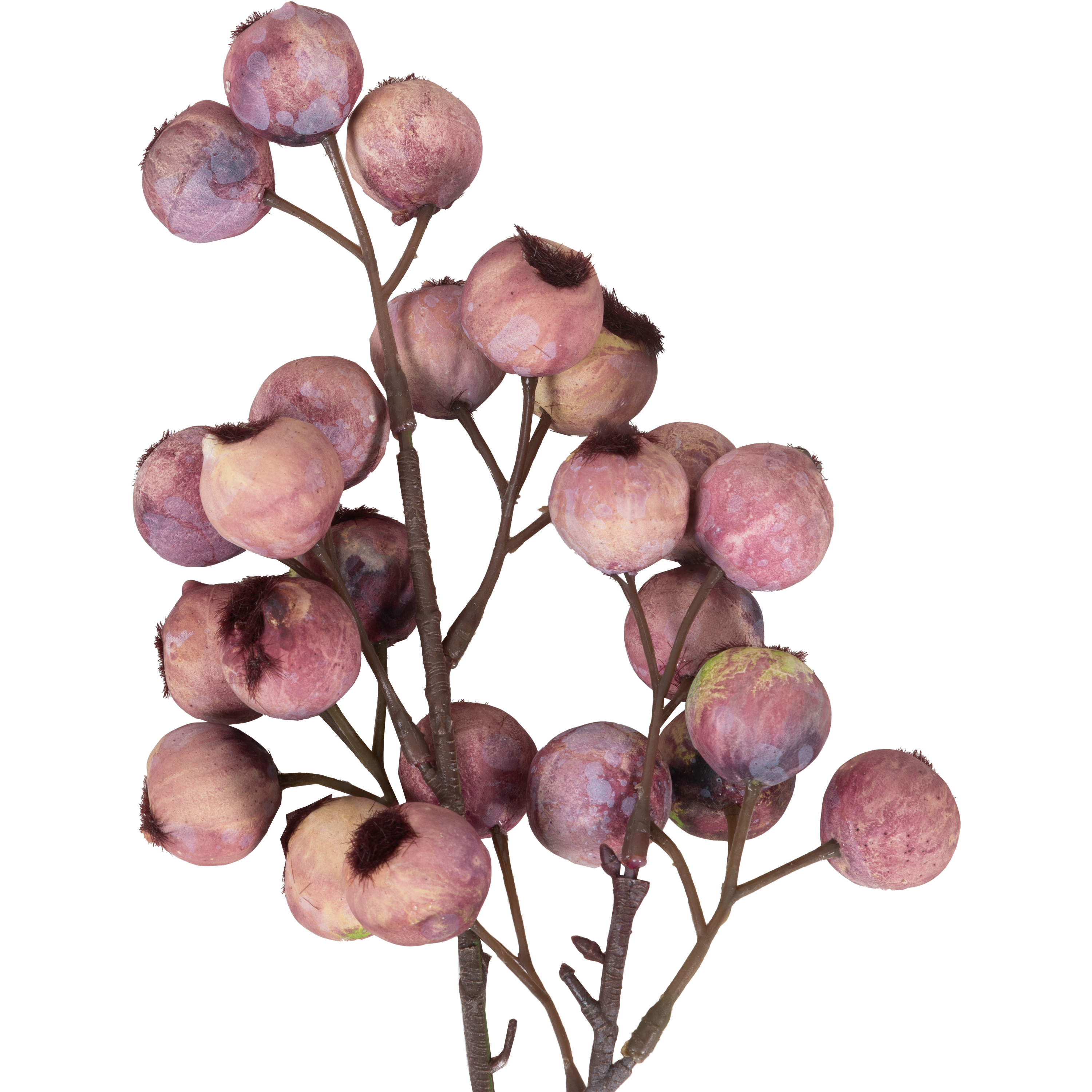 Organic Hawthorn Berry Stem - Natural Herbal Supplement for Heart Health & Digestion - Perfect for Tea, Tinctures & Herbal Remedies