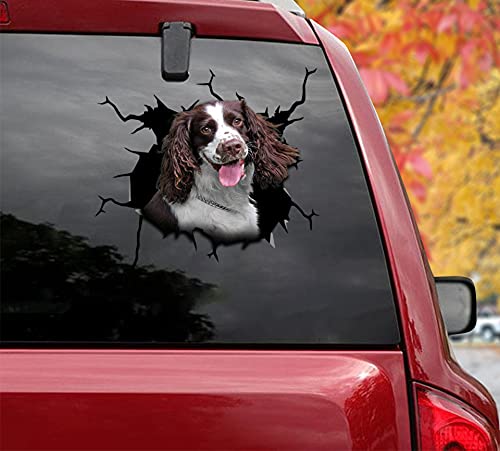 3-Pack Fashion Spaniel Car Stickers & Decals - 8