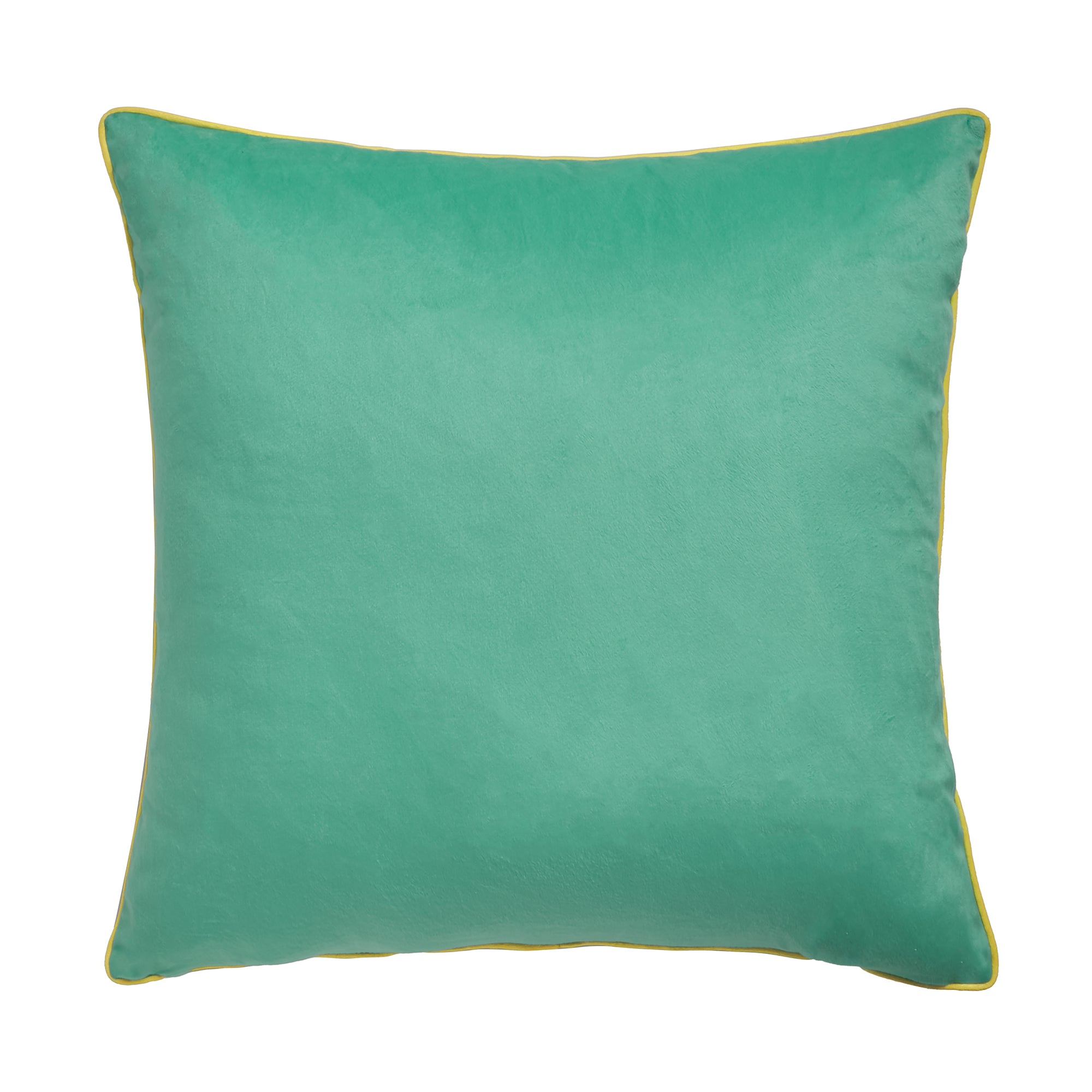Appletree Style Leilani Cushion - Soft Green Decorative Throw Pillow for Sofa, Bed & Home Decor
