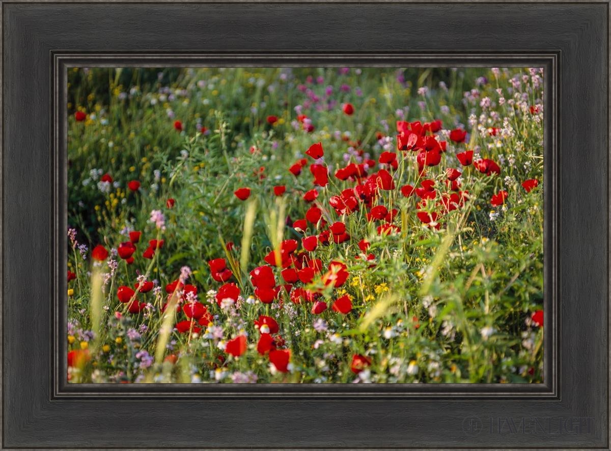 Poppy Mix Judean Wilderness Plate 3 - Authentic Middle Eastern Ceramic Dinnerware for Home Decor & Special Occasions
