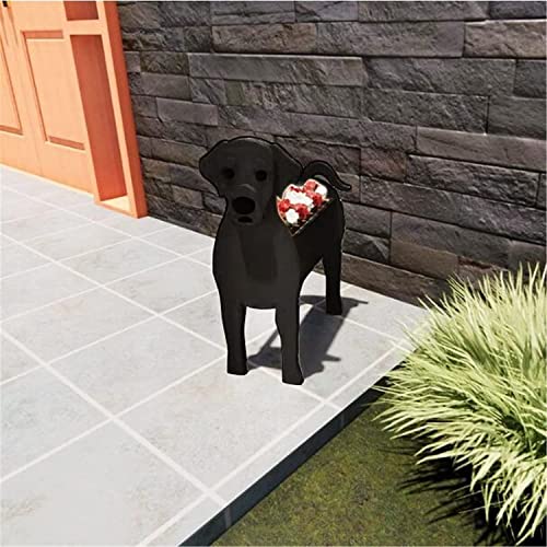 Labrador Retriever Black