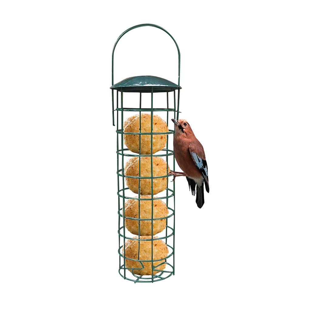 Wild Bird Feeder with Viewing Window - Durable Metal Hanging Bird Feeder for Garden, Yard & Park - Perfect for Bird Watching & Outdoor Decoration - Ideal Gift for Bird Lovers & Pet Owners