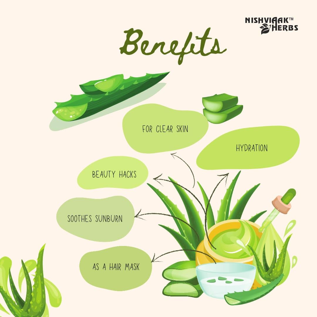 Nishviaak™ Organic Aloe Vera Gel for Skin & Hair Care - Soothes Sunburn, Hydrates Dry Skin, Promotes Hair Growth | Perfect for Face, Body & Scalp Treatment