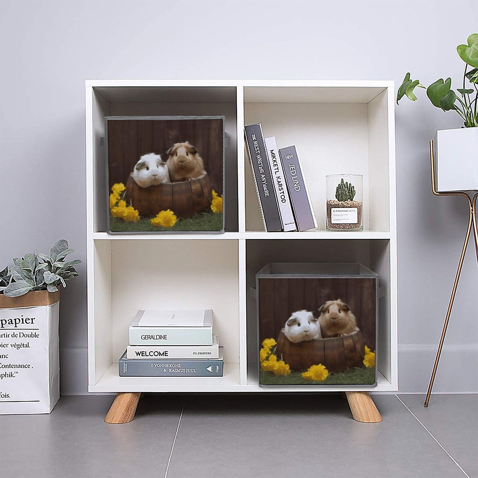 1PCS Collapsible Storage Bins for Guinea Pigs - Printed Foldable Storage Containers with Handles, Multi-Functional Organizer Box for Shelves, Home, Office & Pet Supplies Storage | Perfect for Bedroom Closet, Kids Toy Organization & Laundry Room