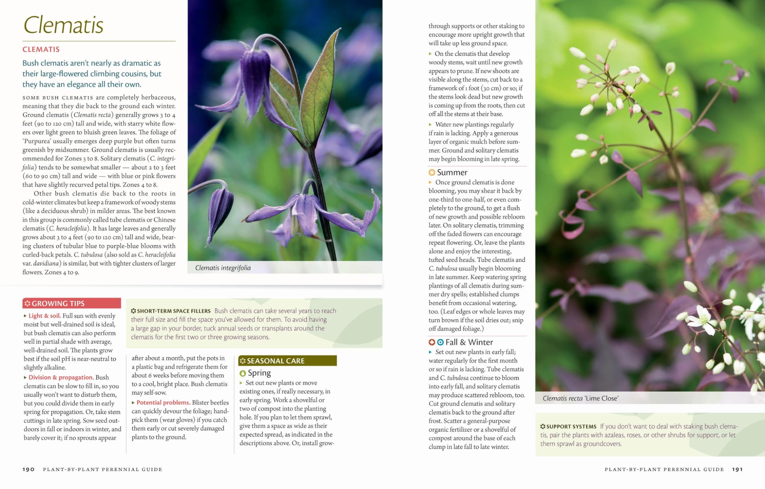 The Perennial Care Manual: Complete Plant-by-Plant Guide for Year-Round Gardening - When and How to Care for Your Perennials | Perfect for Home Gardeners, Landscapers & Plant Enthusiasts