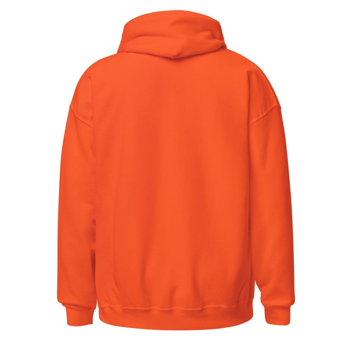 Thrive Hoodie - Out, Proud & Sober - Comfortable Unisex Pullover for Recovery & Pride Events - Perfect for AA Meetings, Pride Parades & Sober Living