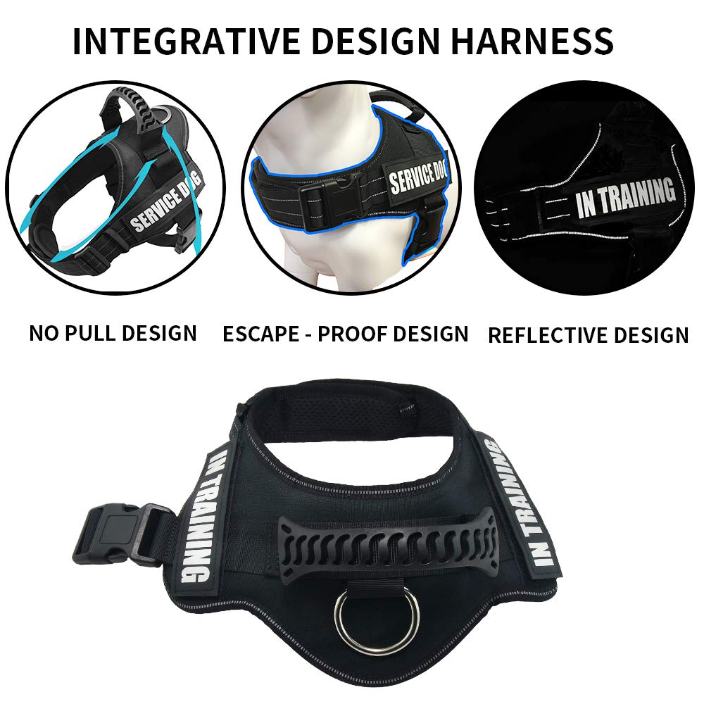 Dihapet Small Dog Harness - Reflective No Pull Adjustable Padded Soft Vest for Small Medium Large Dogs | Outdoor Walking Training & Night Safety | Black/XS