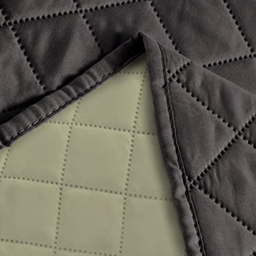 Chocolate/Beige