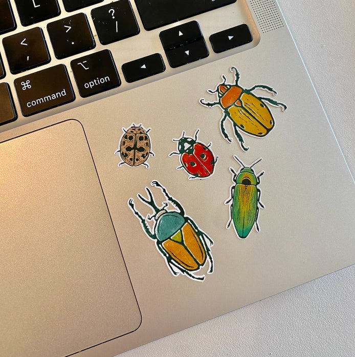 Beetles Sticker Sheets - 50 Unique Insect Decals for Scrapbooking, DIY Crafts, Laptop & Water Bottle Decoration - Premium Vinyl Stickers for Kids & Adults
