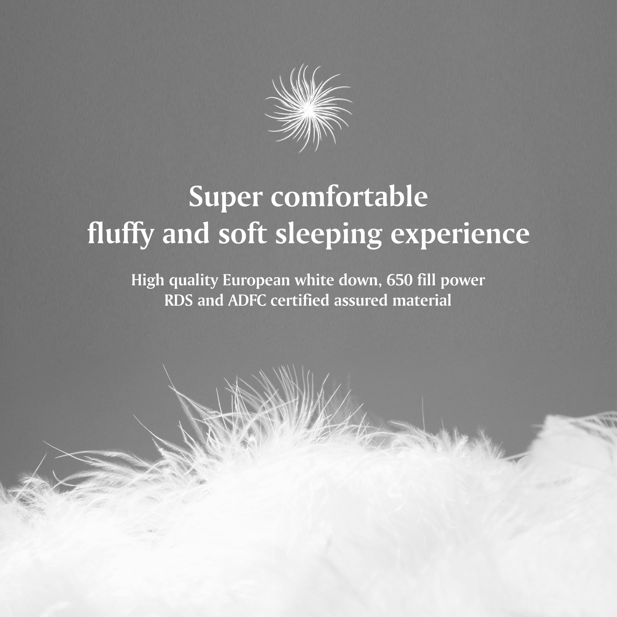 Beautyrest White Goose Down Comforter Queen Size - All Seasons 650 Fill Power European Down Duvet Insert | Hypoallergenic Sateen Cotton Cover | Made in USA | Perfect for Cozy Bedroom & Guest Room Comfort