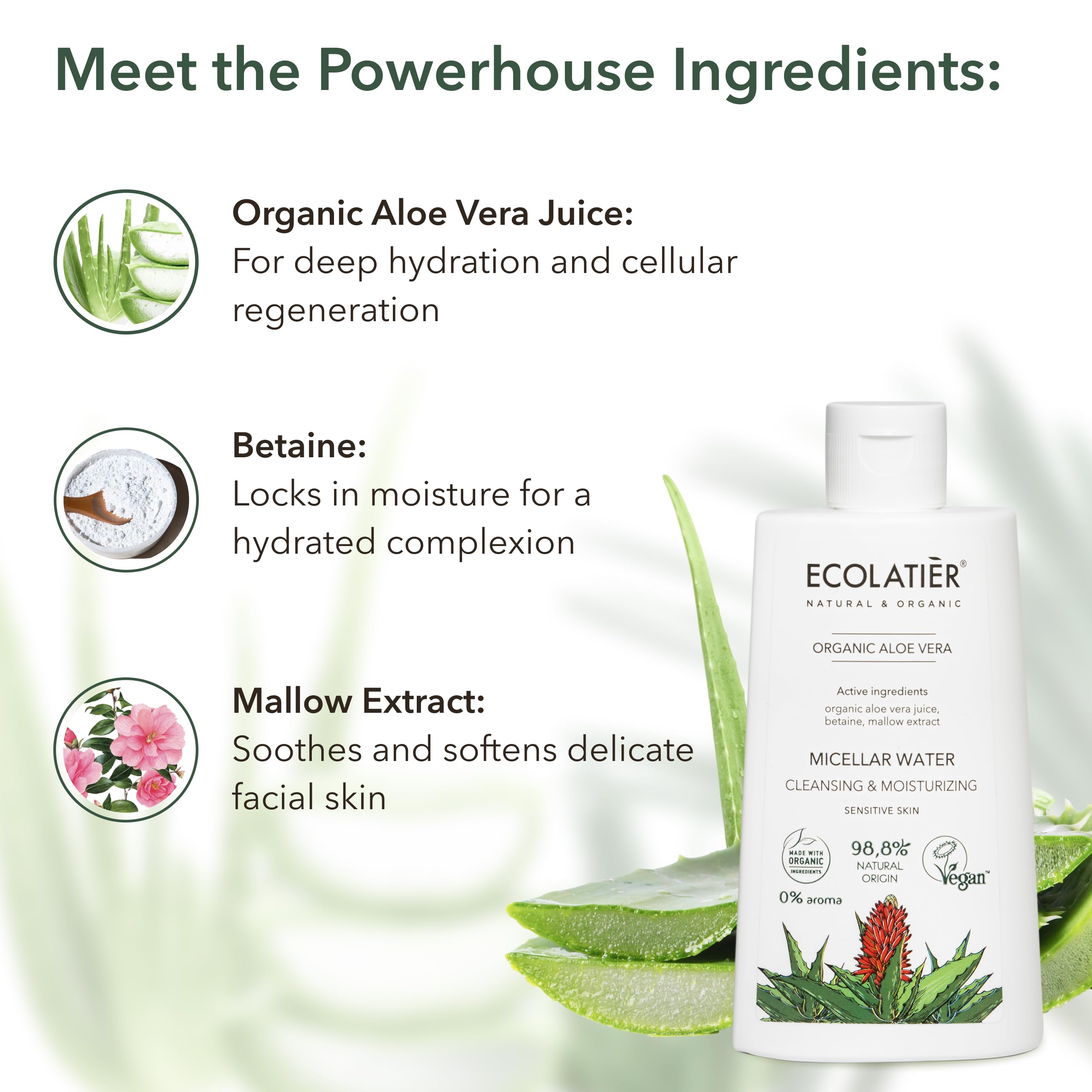 Organic Skincare Bundle - Micellar Cleansing Water, Foaming Facial Cleanser & Daily Moisturizing Cream with Aloe Vera & Argan Oil - Hydrating, Nourishing & Gentle for All Skin Types - Vegan & Cruelty-Free - Perfect for Daily Skincare Routine, Travel & Sensitive Skin Care
