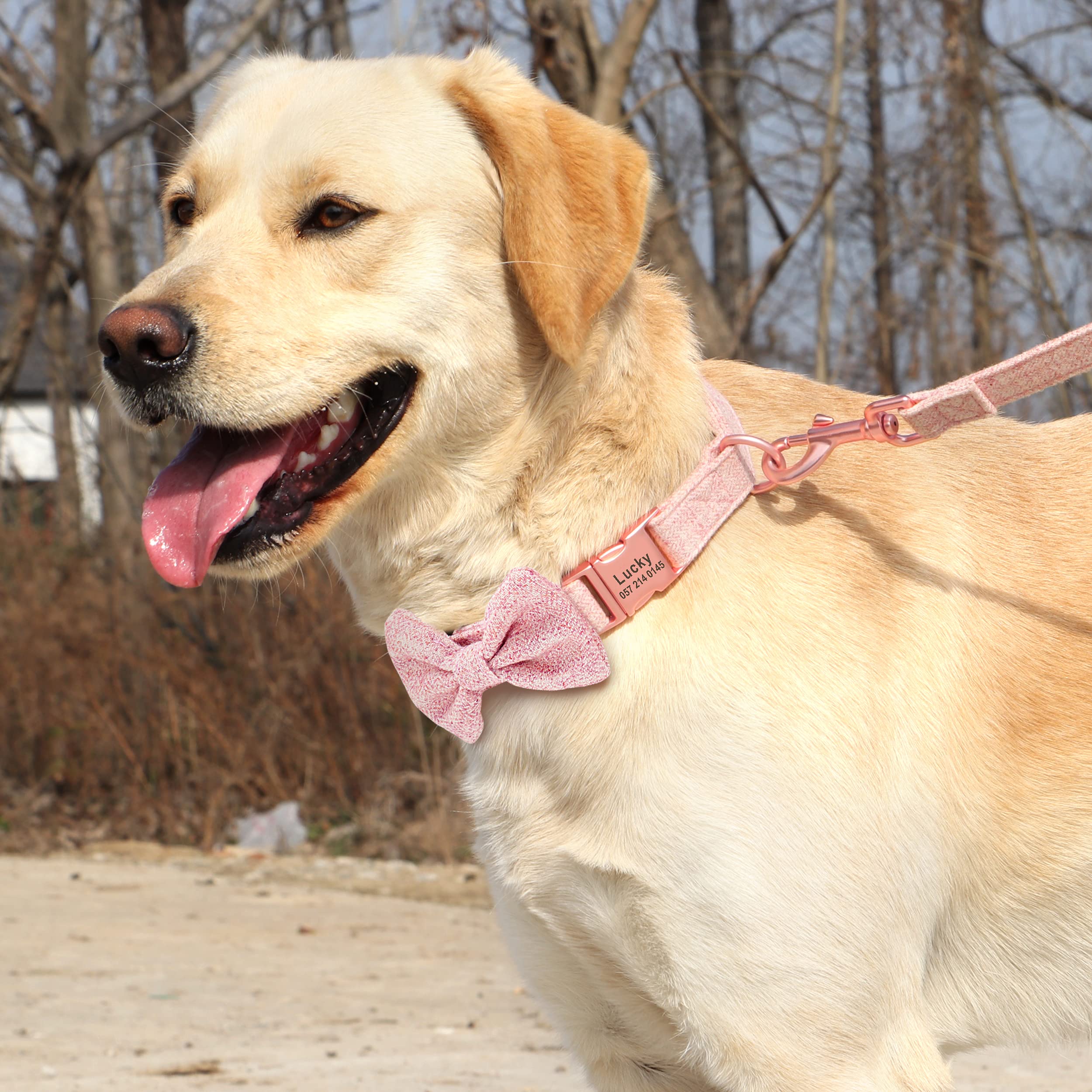 PET ARTIST Personalized Dog Collar with Detachable Bowtie - Soft & Comfortable Cute Dog Collar & Leash Set with Rose Gold Buckle - Adjustable Bowtie Collars for Small, Medium & Large Dogs (Pink) - Perfect for Daily Walks, Pet Parties & Photo Shoots