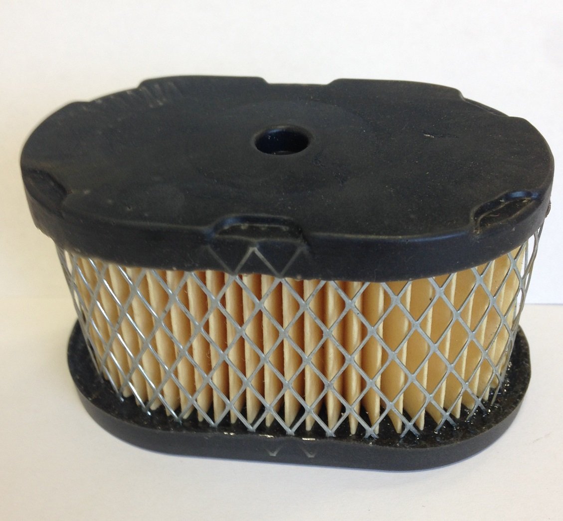 Briggs & Stratton 697029 Replacement Air Filter - High Performance Engine Air Filter for Lawn Mowers, Generators & Outdoor Power Equipment