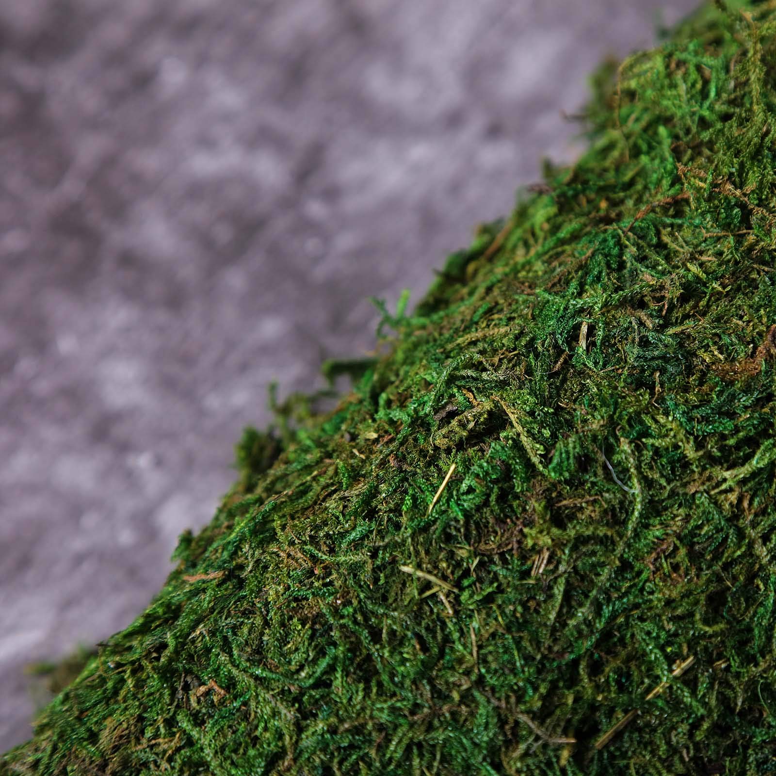 18x16 Inch Green Natural Preserved Moss Sheet - Bulk Wedding, Party & Event Decor for Centerpieces, Crafts, Wholesale Supplies | Perfect for DIY Projects, Floral Arrangements & Home Decor