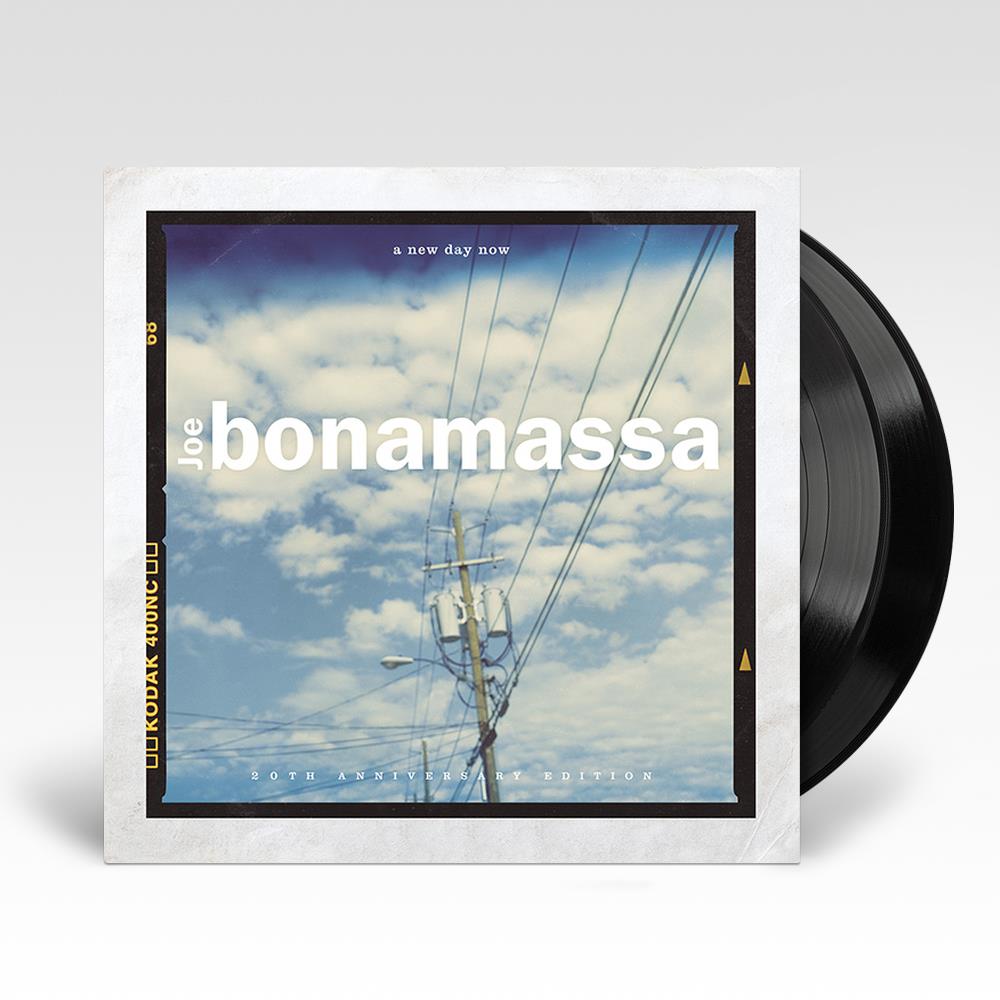 A New Day Now Vinyl Record - Classic Rock Music LP for Collectors & Audiophiles | Perfect for Home Listening, Gifts & Vinyl Collections