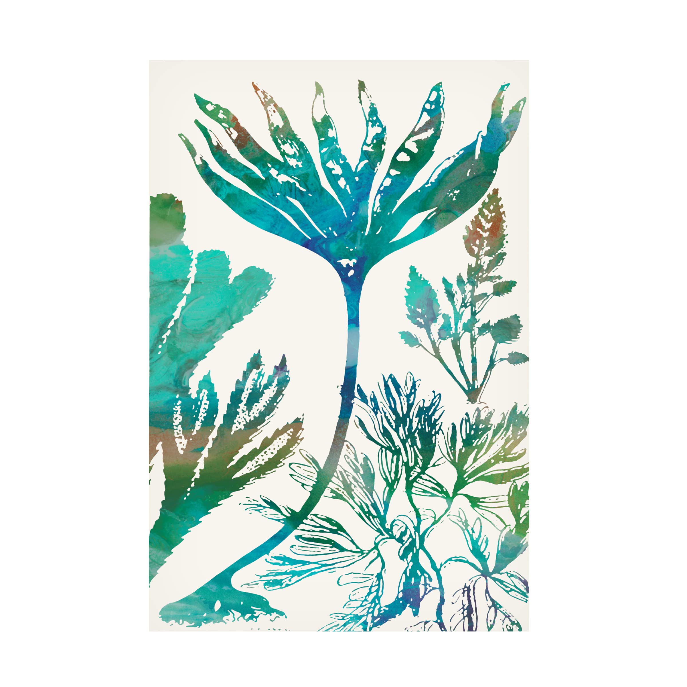 Trademark Fine Art 'Aquatic Assemblage IV' Canvas Wall Art by Sharon Chandler - Perfect for Living Room, Bedroom & Office Decor