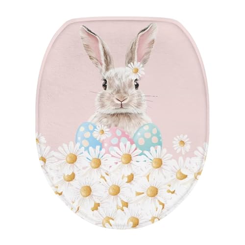 Rabbit Daisy