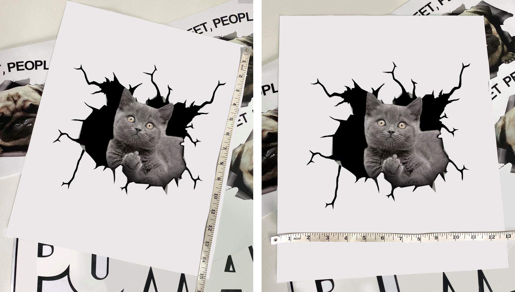 Funny Cat Car Decals Pack of 2 - 10