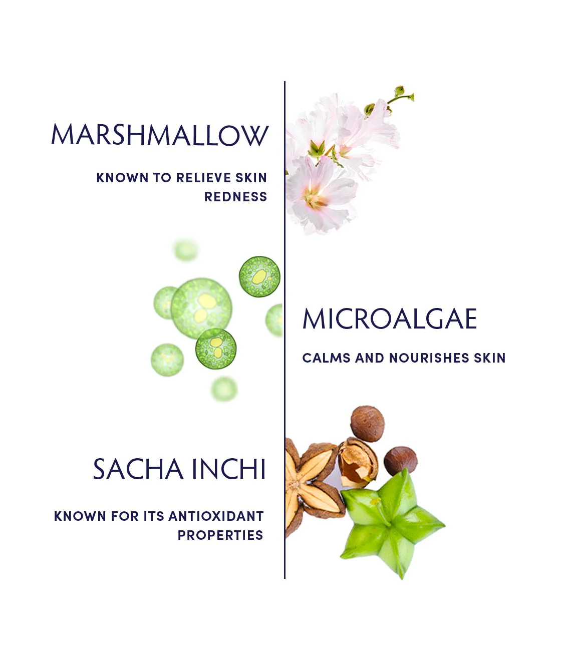 Naturopathica Marshmallow & Microalgae Sensitivity Soothing Cream for Dry, Irritated Skin - Calming Face Moisturizer for Sensitive Skin Care Routine